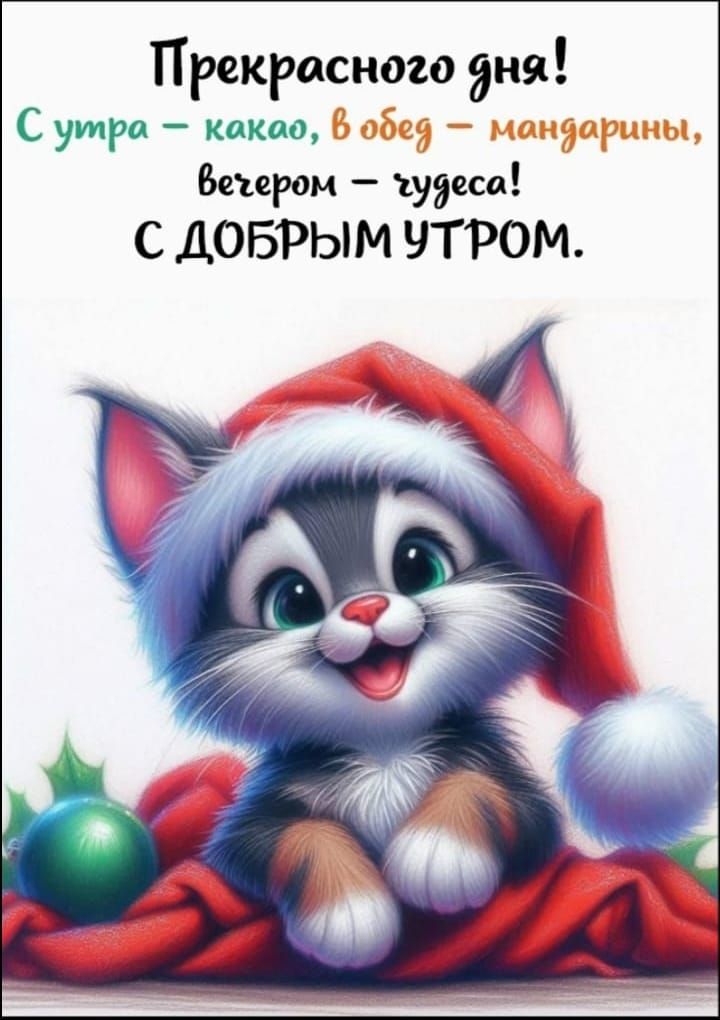 Прекрасного дня! С утра — какао, в обед — мандарины, вечером — чудеса! С ДОБРЫМ УТРОМ.
