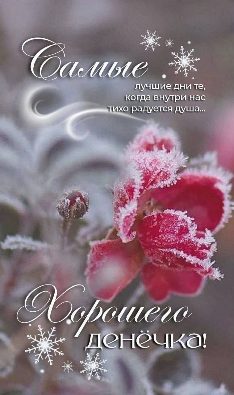 Счастье лучшие дни те, когда внутри нас тихо радуется душа... Хорошего денёчка!