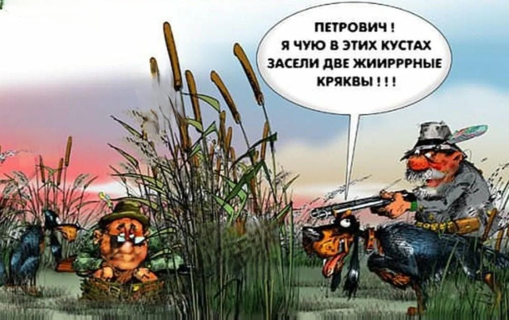 ПЕТРОВИЧ! Я ЧУЮ В ЭТИХ КУСТАХ ЗАСЕЛИ ДВЕ ЖИРНЫЕ КРЯКВЫ!!!