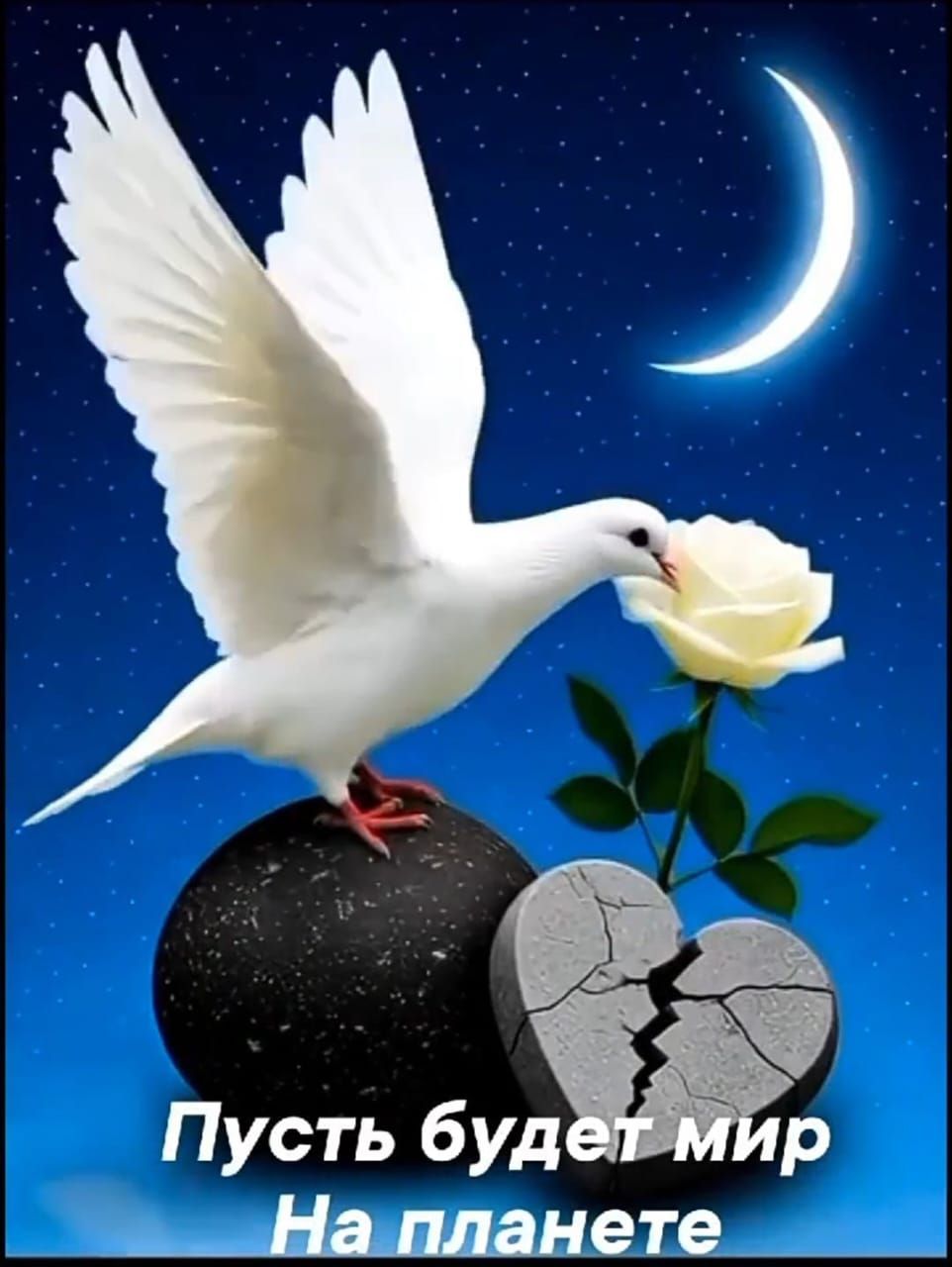 Пусть будет мир на планете