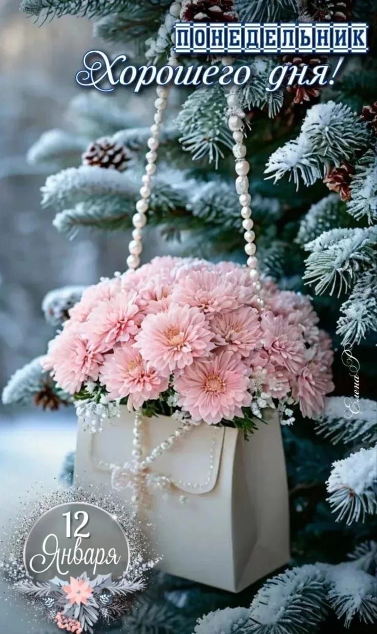 ПОНЕДЕЛЬНИК Хорошего дня! 12 января