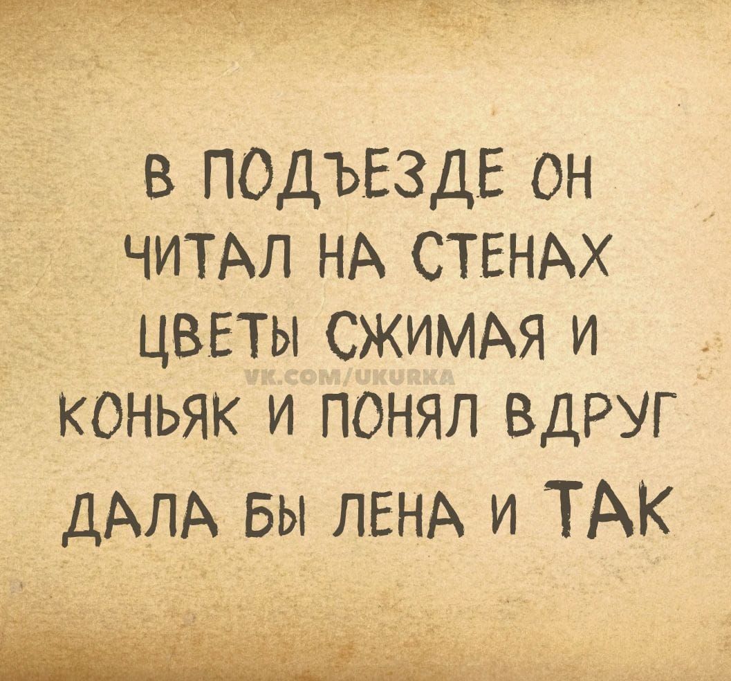 В ПОДЪЕЗДЕ ОН ЧИТАЛ НА СТЕНАХ ЦВЕТЫ СКИМАЯ И КОНЬЯК И ПОНИЛ ВДРУГ ДАЛА БЫ ЛЕНА И ТАК