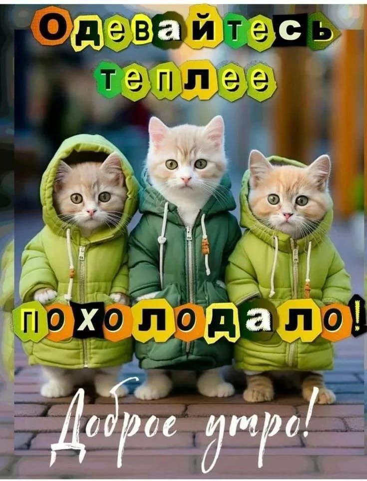 Одевайтесь теплее похолодало! Доброе утро!