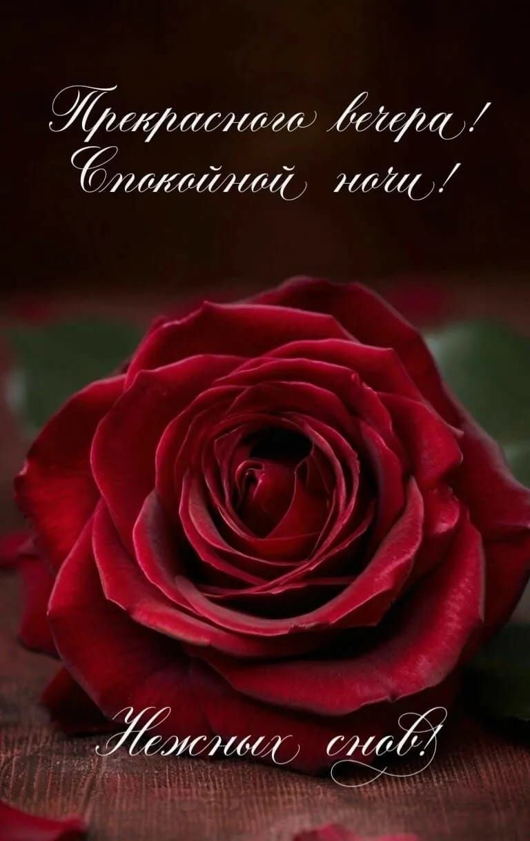 Прекрасного вечера! Спокойной ночи! Нежных снов!
