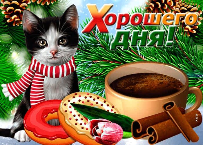 Хорошего дня!