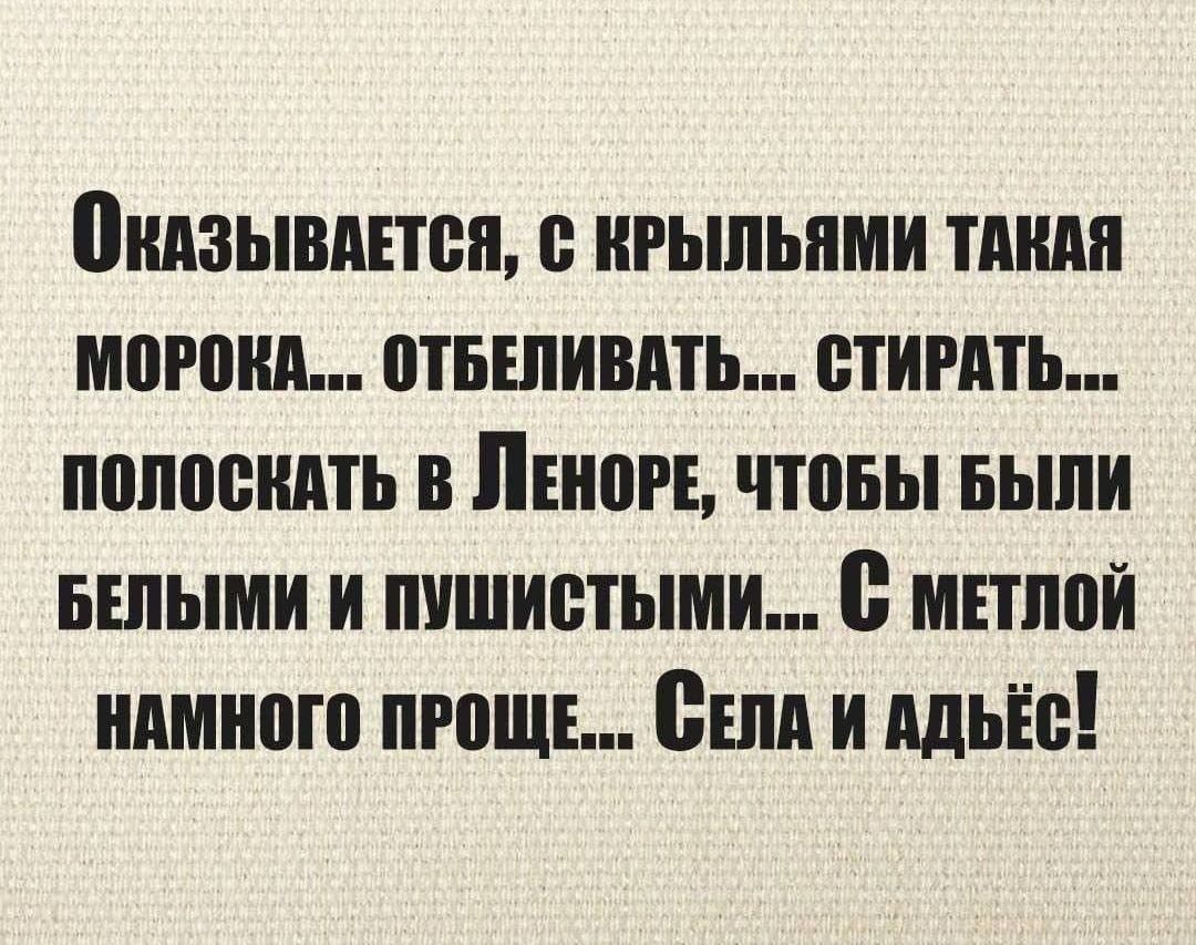 Оказывается, с крыльями такая морока... отбеливать... стирать... полоскать в Леноре, чтобы были белыми и пушистыми... С метлой намного проще... Села и адьёс!
