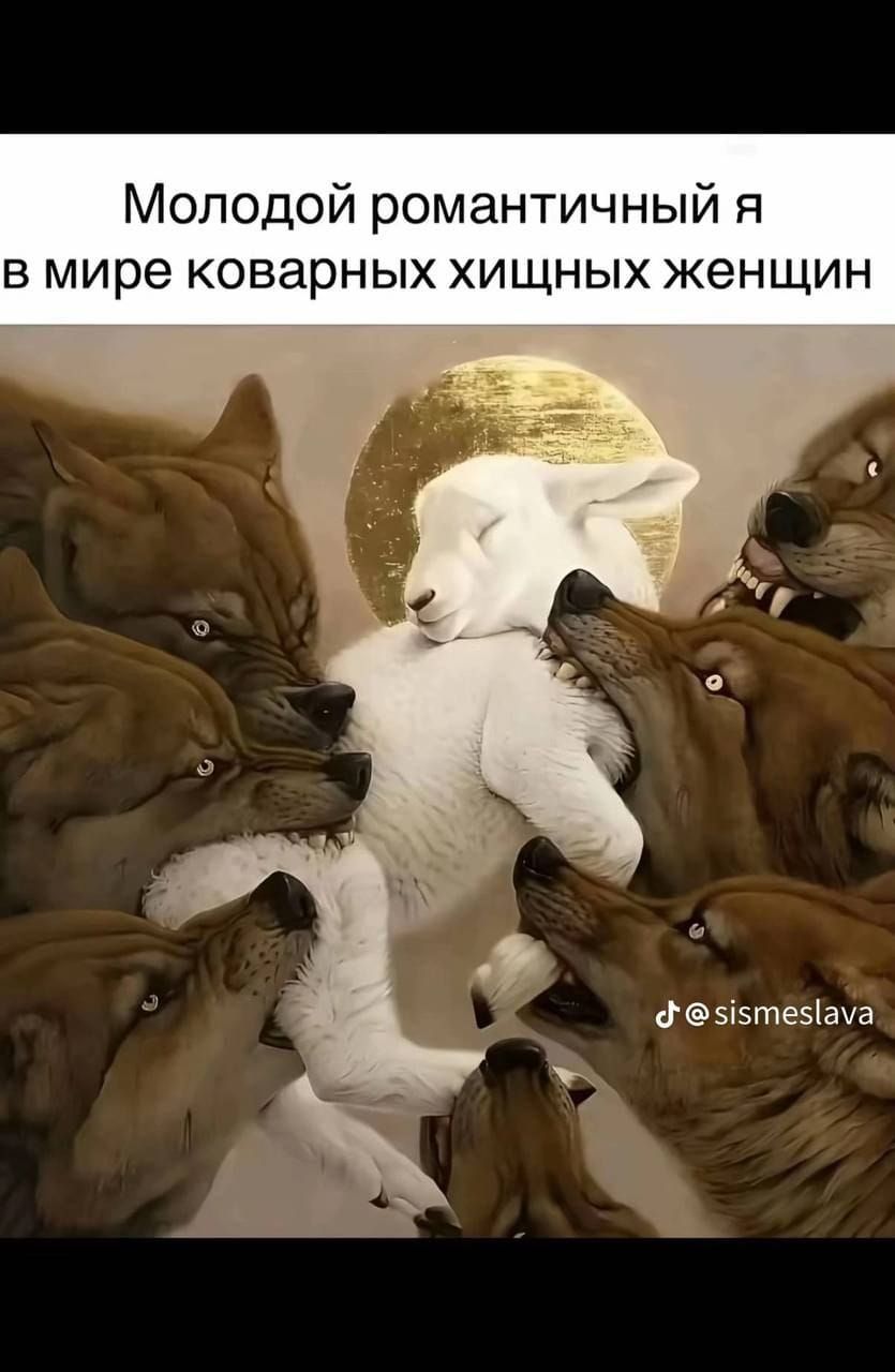 Молодой романтичный я в мире коварных хищных женщин