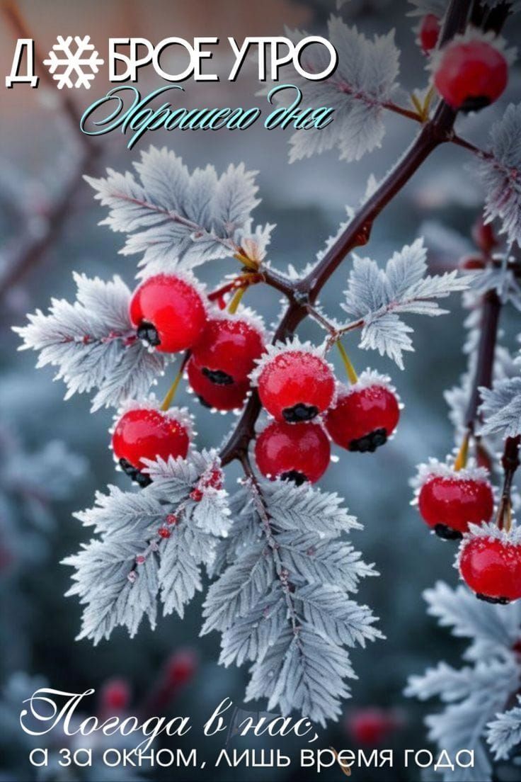 Доброе утро
Арктического дня
Погода в нас за окном, лишь время года