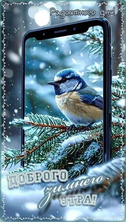 Радостного дня! Доброго зимнего утра!