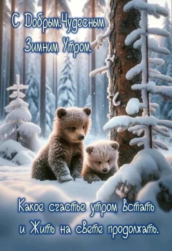 С Добрым Чудесным Зимним Утром. Какое счастье утром встать и жить на свете продолжать.