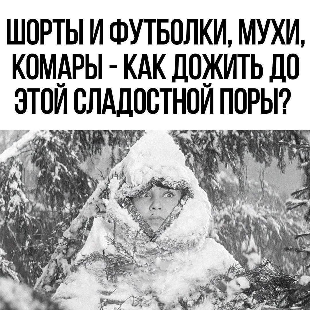 ШОРТЫ И ФУТБОЛКИ, МУХИ, КОМАРЫ - КАК ДОЖИТЬ ДО ЭТОЙ СЛАДОСТНОЙ ПОРЫ?