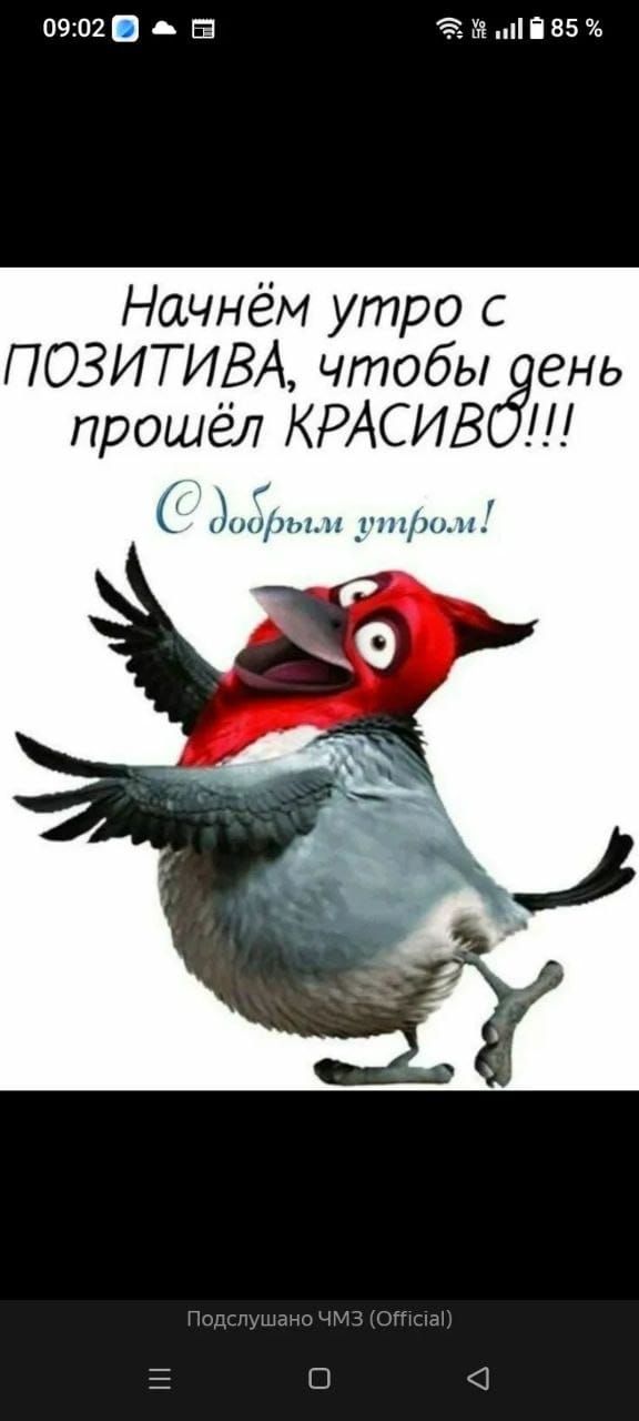 Начнём утро с позитива, чтобы день прошёл КРАСИВО!!! С добрым утром!