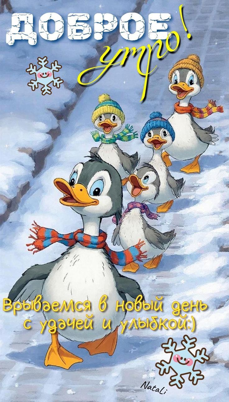 Доброе утро! Врываемся в новый день с удачей и улыбкой