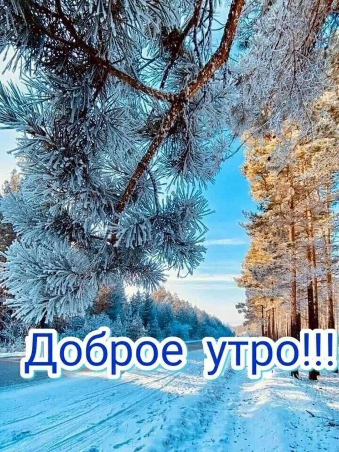 Доброе утро!!!