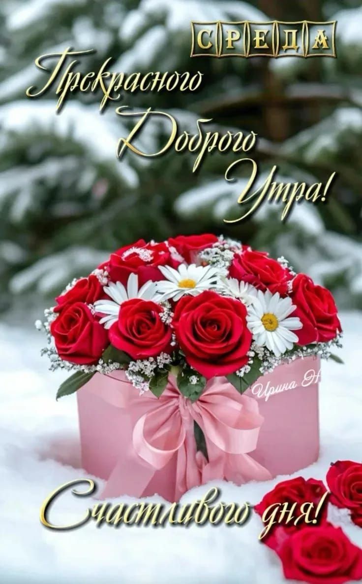 Среда Красивого доброго утра! Счастливого дня!