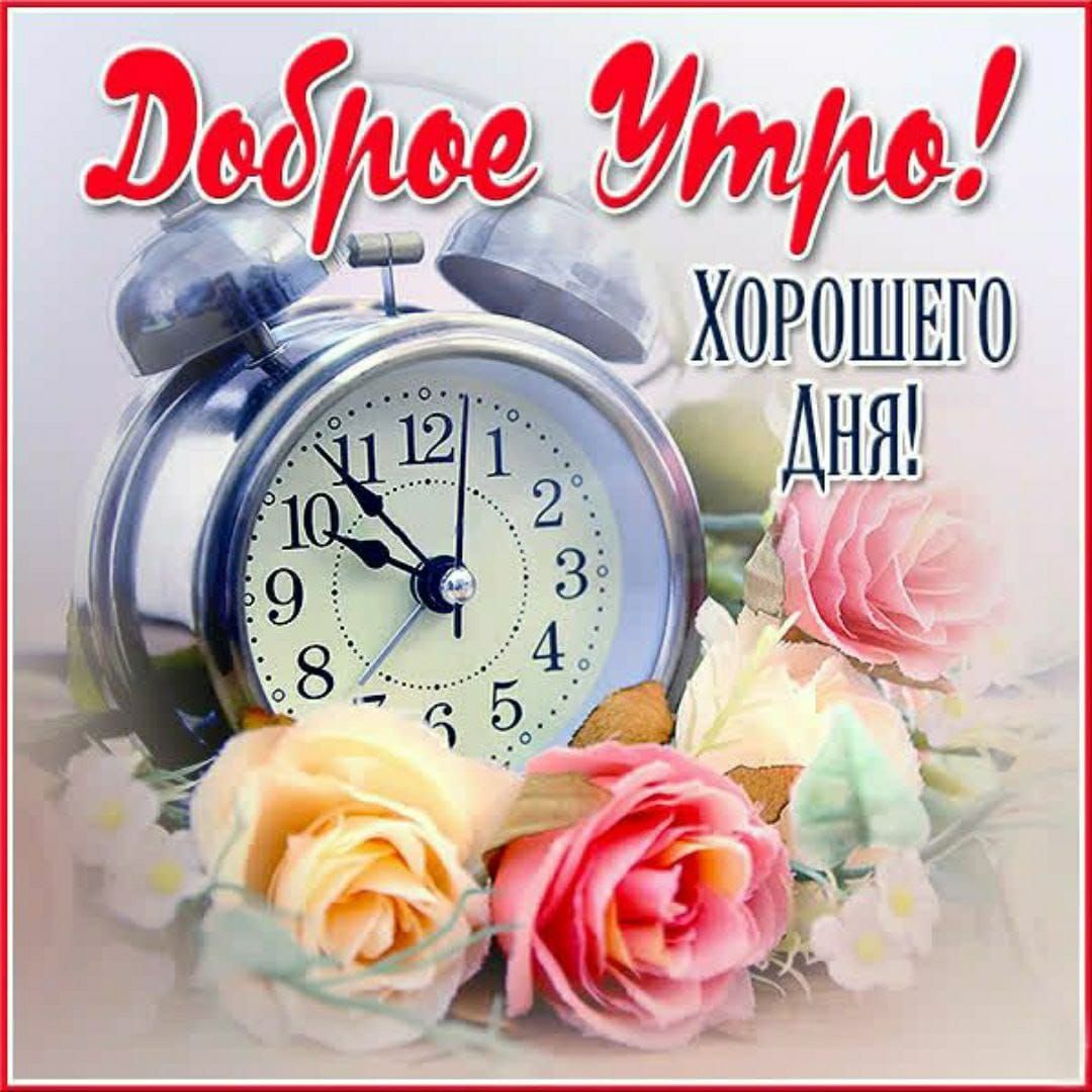 Доброе утро! Хорошего дня!