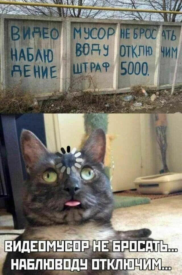 ВИДЕО НАБЛЮДЕНИЕ МУСОР НОВЧУ ШТРАФ НЕ БРОСАТЬ ОТКЛЫ ЧИМ 5000.