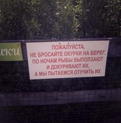 ПОЖАЛУЙСТА, НЕ БРОСАЙТЕ ОКУРКИ НА БЕРЕГ. ПО НОЧАМ РЫБЫ ВЫПОЛЗАЮТ И ДОКУРИВАЮТ ИХ, А МЫ ПОПЫТАЕМСЯ ОТУТИТЬ ИХ