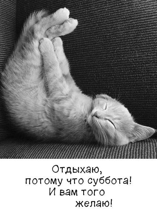 Отдыхаю, потому что суббота! И вам того желаю!