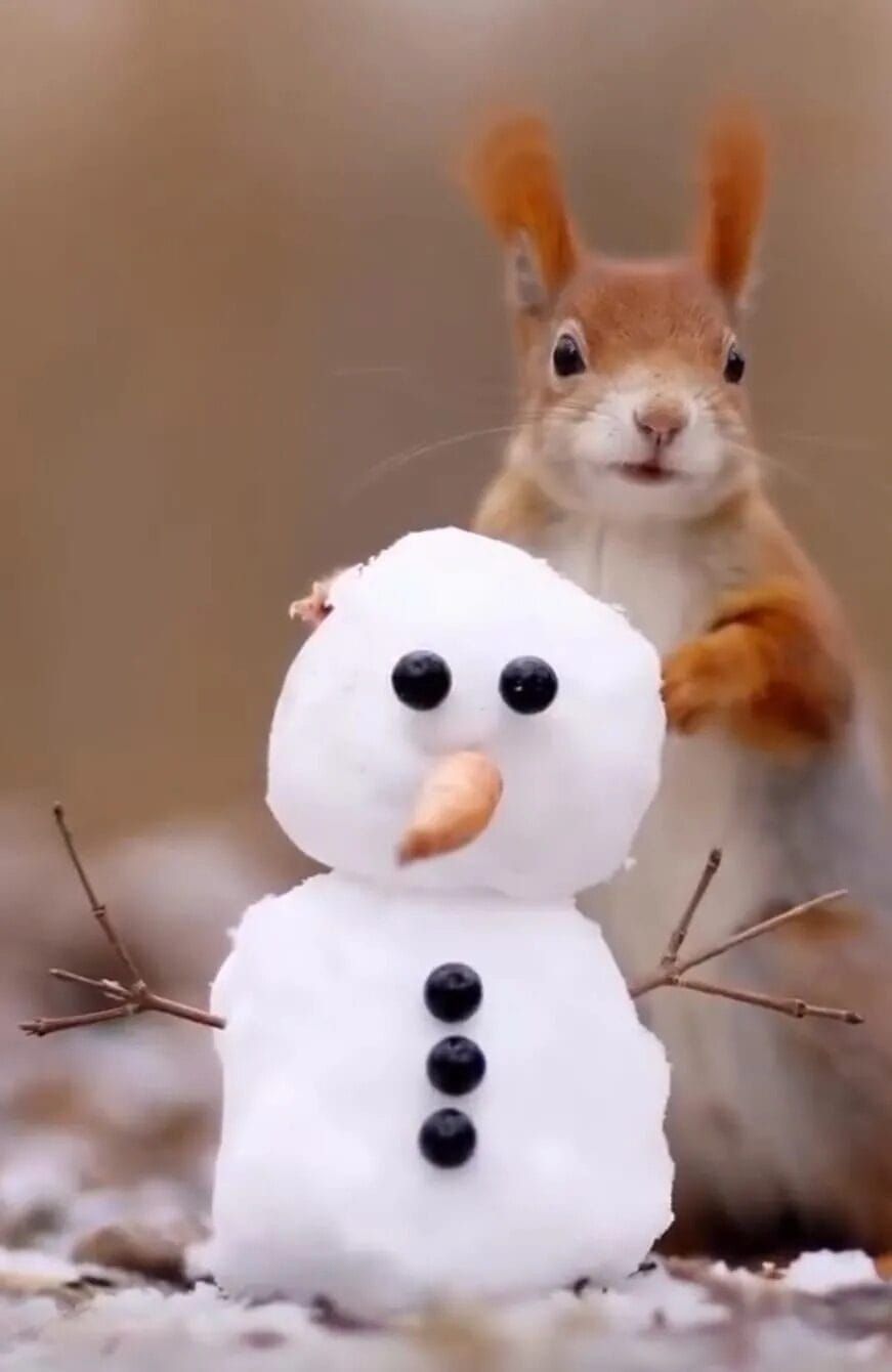 Белочка играет возле маленького снеговика на снегу.