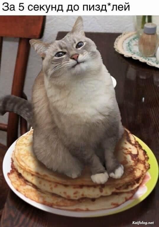За 5 секунд до пизд*лей