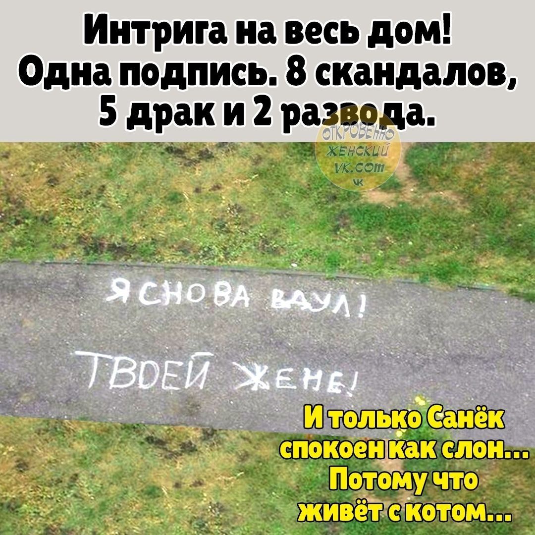 Интрига на весь дом! Одна подпись. 8 скандалов, 5 драк и 2 развода. Я СНОВА ВАУЛ! ТВОЕЙ ЖЕНЕ! И только Санёк спокоен как слон... Потому что живёт с котом...