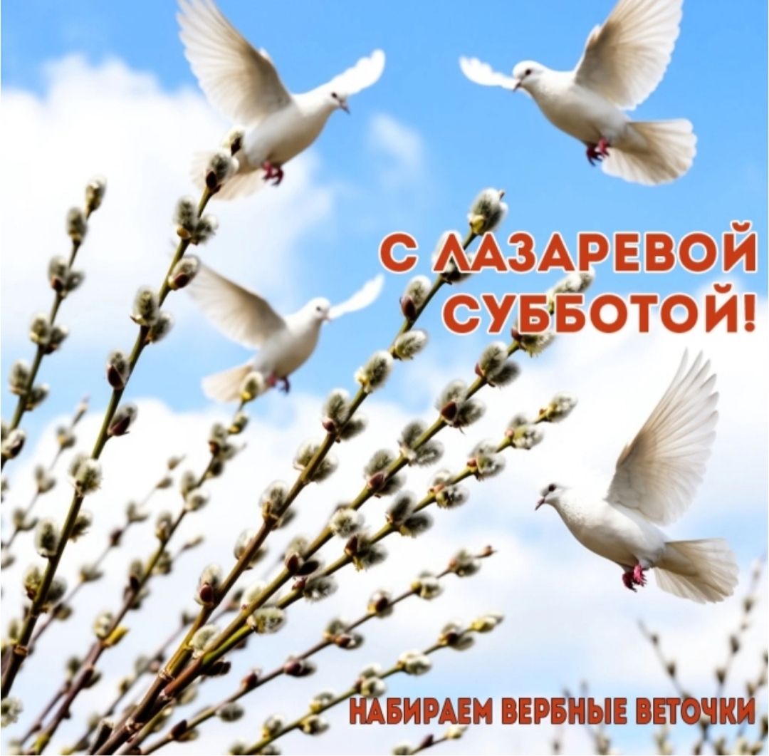С ЛАЗАРЕВОЙ СУББОТОЙ! НАБИРАЕМ ВЕРБНЫЕ ВЕТОЧКИ