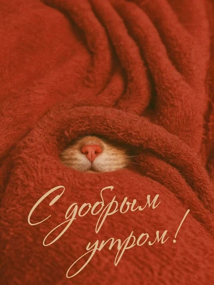 С добрым утром!