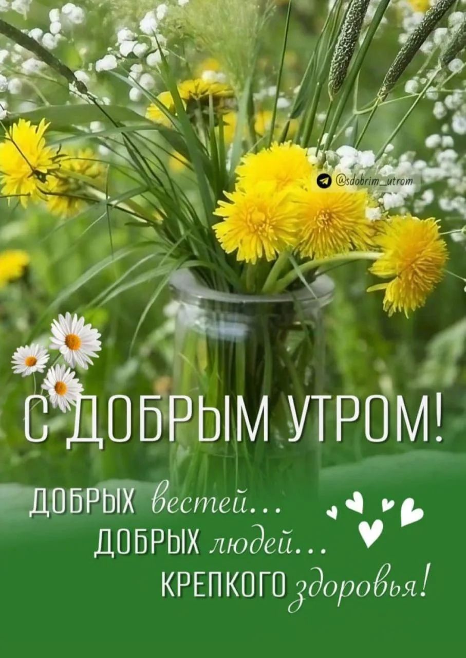 С ДОБРЫМ УТРОМ! ДОБРЫХ вестей... ДОБРЫХ людей... КРЕПКОГО здоровья! @sdobrim_utrom