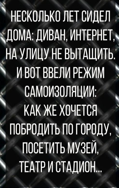 нюкольколпсидЕл адомд дивдн ИНТЕРНЕТ ндулицу НЕ вытдщить ивпт ВВЕЛИ РЕЖИМ сдмоизопяции кдк ЖЕ хочпся повредить по городу 5 ПОСЕТИТЬМУЗЕИ ТЕАТРИСТАДИПН Е