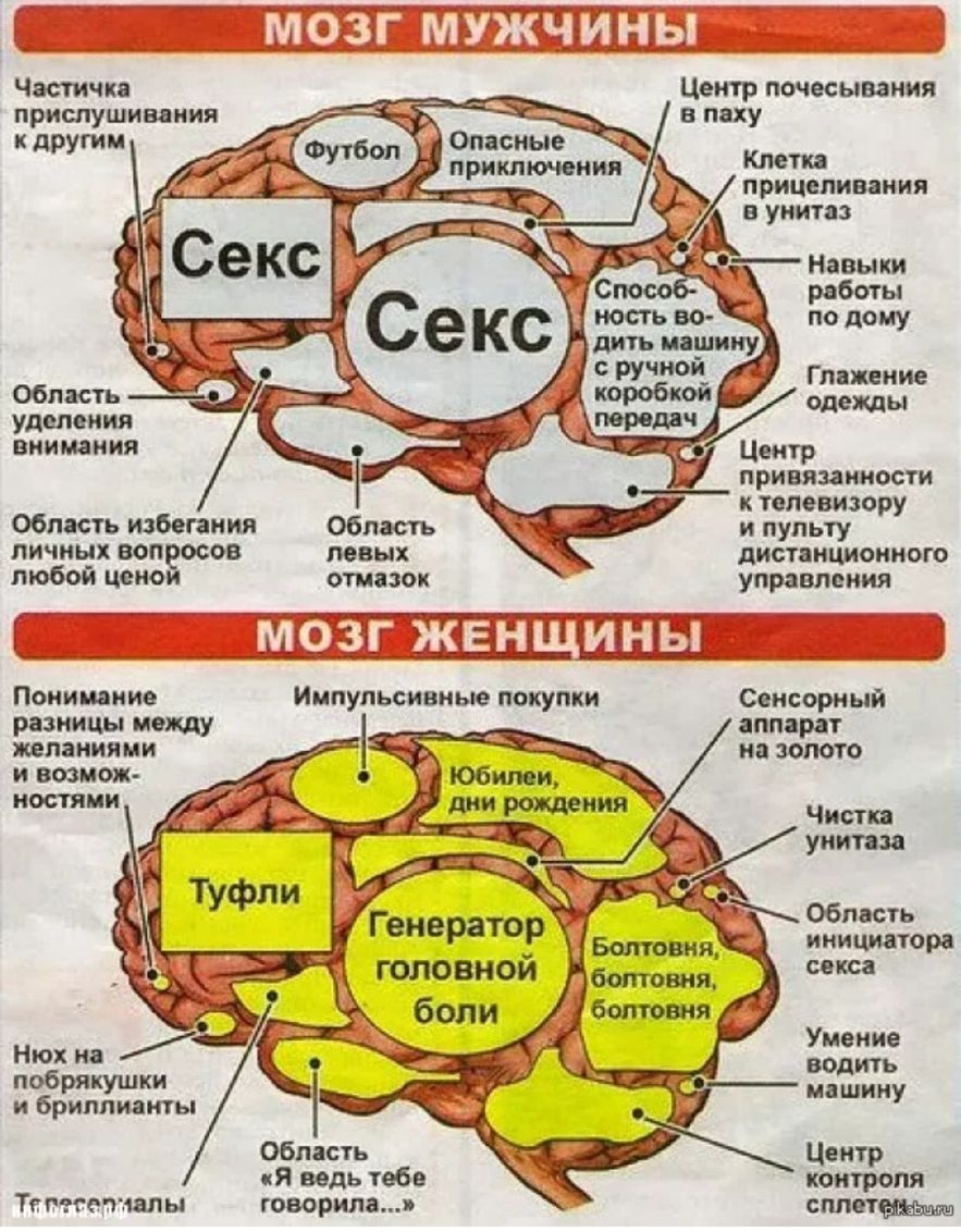 Центр почвсывания приспушиваиия _ в паху другии Клетка прицеливания в унитаз Область удаления внимания привязанности к телевизору Область избегания область и пульту пичнчх воп осов левых дистанционного любои цеио отазок управления ___ _ С __ _ ж_ _ Понимание Сенсорный разницы между аппарат желаниями на золото и возмож костями Чистка унитаза Область инициатора секса Умение Нюх на водить побрякушки 