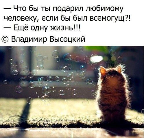 Что бы ты подарил любимому человеку если бы был всемогущ Ещё одну жизнь Владимир Высоцкий