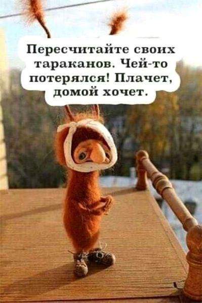 Пересчитайте своих тараканов Чей то потерялся Плачет домой хочет