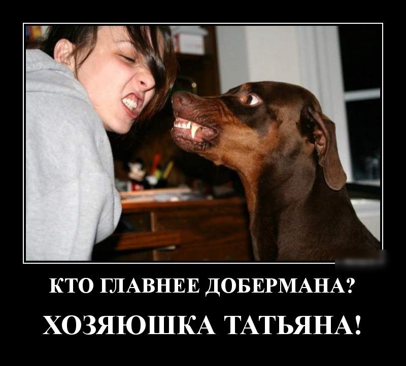 кто ГЛАВНЕЕ ДОБЕРМАНА ХОЗЯЮШКА ТАТЬЯНА