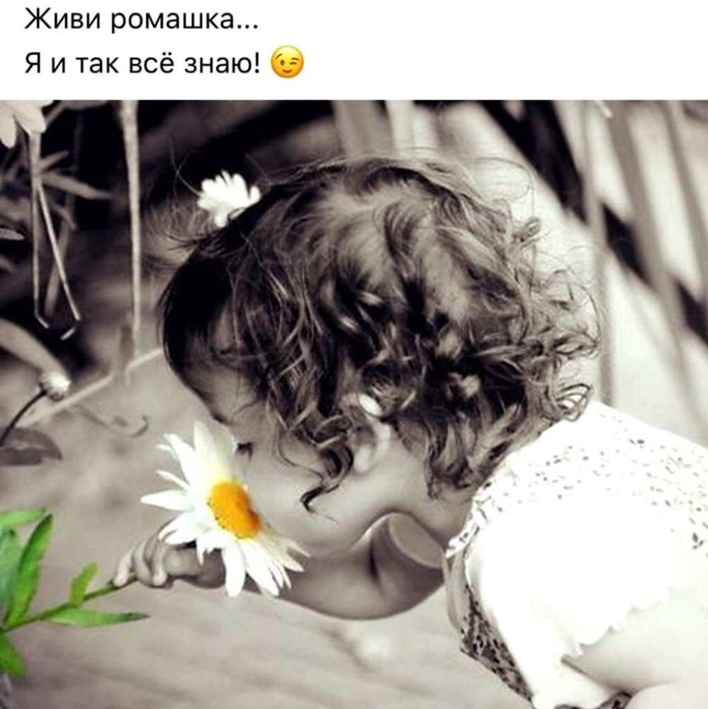 Живи ромашка Я и так всё знаю