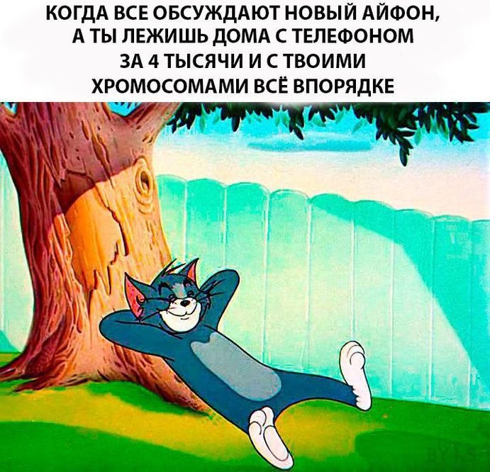 КОГДА ВСЕ ОБСУЖДАЮТ НОВЫЙ АЙФОН А ТЫ ЛЕЖИШЬ ДОМА С ТЕЛЕФОНОМ ЗА 4 ТЫСЯЧИ И С ТВОИМИ ХРОМОСОМАМИ ВСЁ ВПОРЯДКЕ
