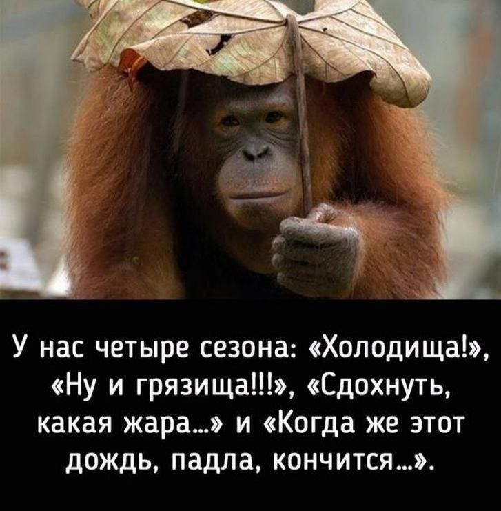 У нас четыре сезона Холодища Ну и грязища Сдохнуть какая жара и Когда же этот дождь падла кончится