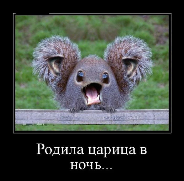 Родила царица в ночь