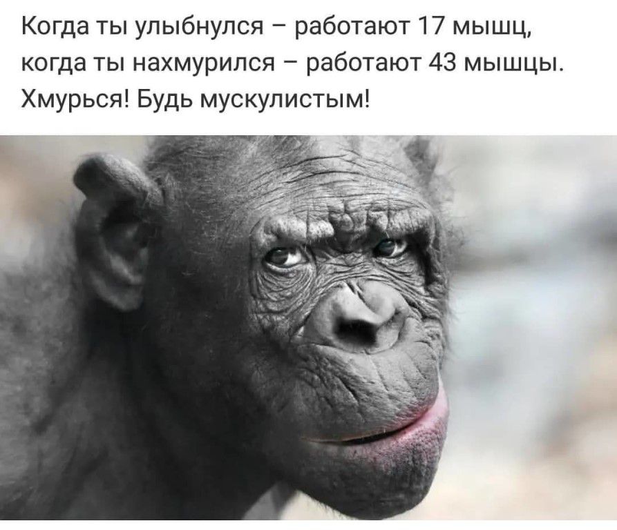 Когда ты улыбнулся работают 17 мышц когда ты нахмурился работают 43 мышцы Хмурься Будь мускулистым