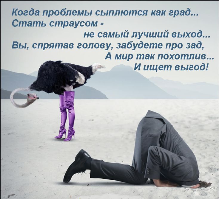 Когда проблемы сыплются как град Стать страусом не самый лучший выход Вы спрятав голову забудете про зад А мир так похотлие И ищет выгод