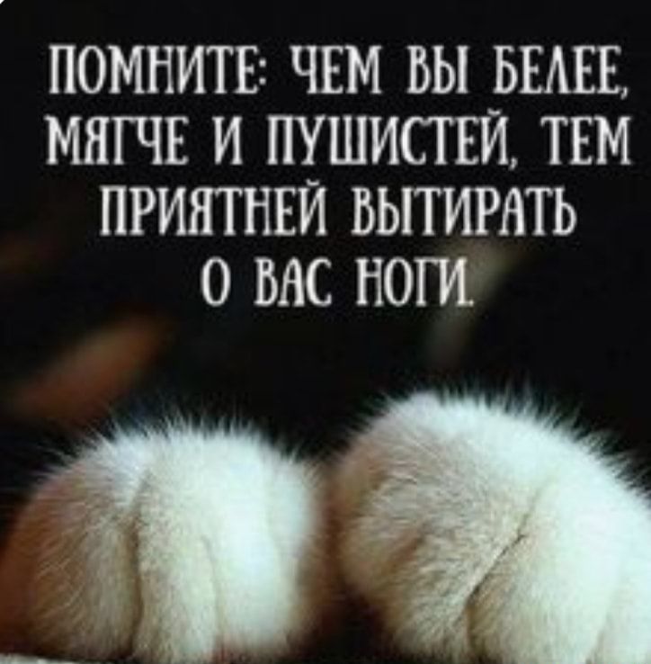 ПОМНИТЕг ЧЕМ ВЫ БЕАЕЕ МНГЧЕ И ПУШИСТЕЙ ТЕМ ПРИНТ НЕЙ БЫТИРАТЬ 0 ВАС НОГИ