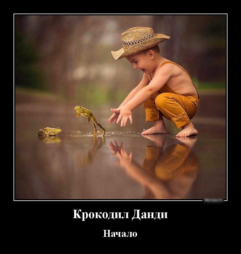 Крокодил Данди Начало