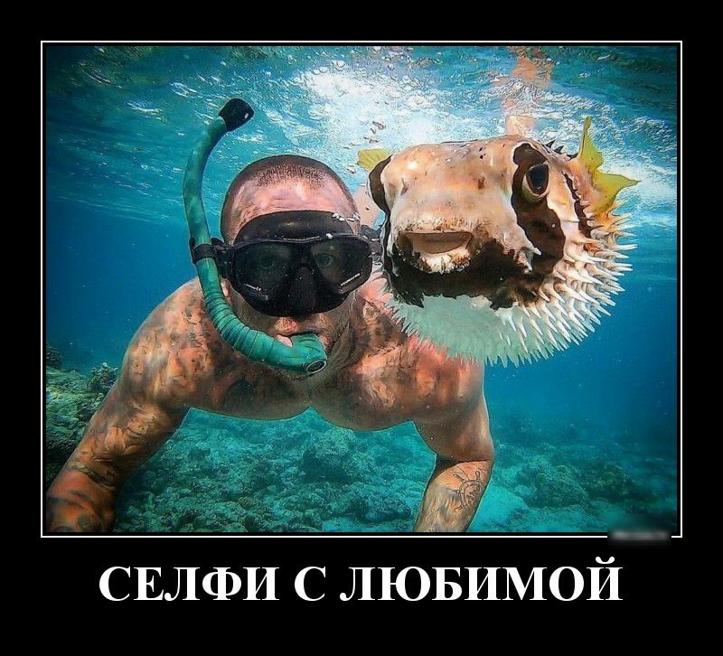 СЕЛФИ с ЛЮБИМОЙ
