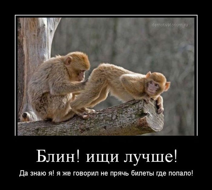 БЛИН ищи лучше Да знаю я я же говорил не прячь билеты где попало