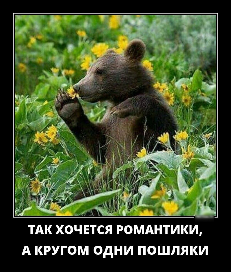 А КРУГОМ ОДНИ ПОШЛЯКИ