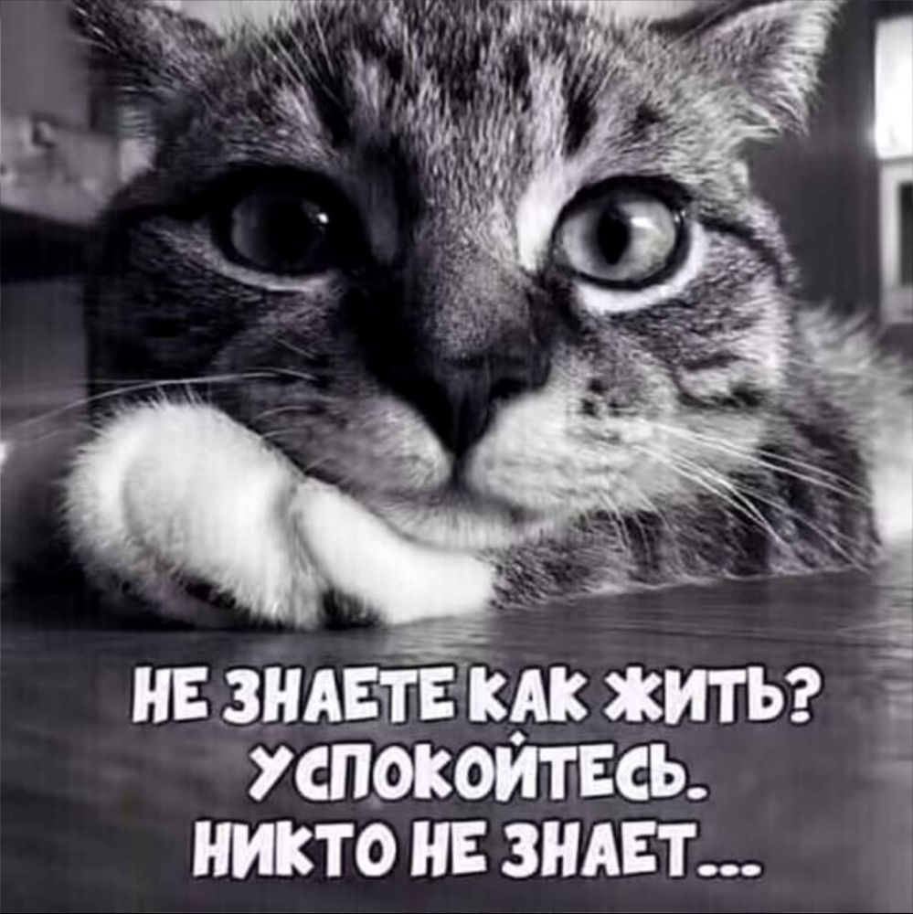 НБ ЗНАЕТБ КАК ЖИТЬ УСПОКОЙТБСЬ НИКТО НБ ЗНАЕТ __4 4 3