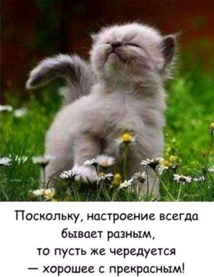 Поскольку настроение всегда бывает разным то пусть же чередуется хорошее с прекрасным