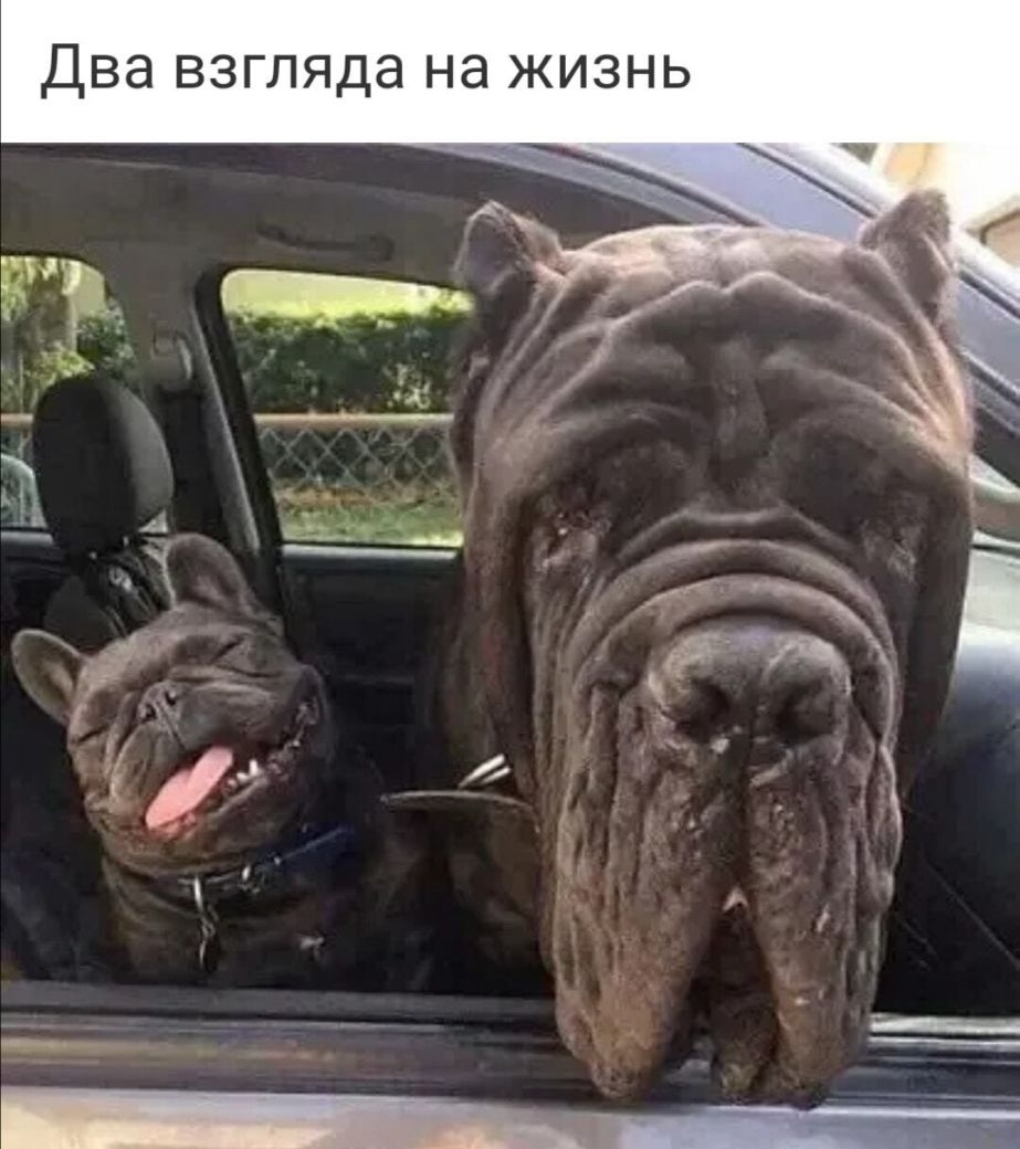 Два взгляда на жизнь