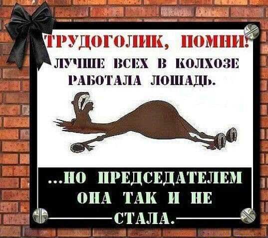 ы ы ТРУШЪГОЛРШ помни лучппг всп в колхозы РАБОТАЛА ЛОШАДЬ ПО ПРЕДСЕДАТЕЛЕМ ОПА ТАК И НЕ Ьстмш