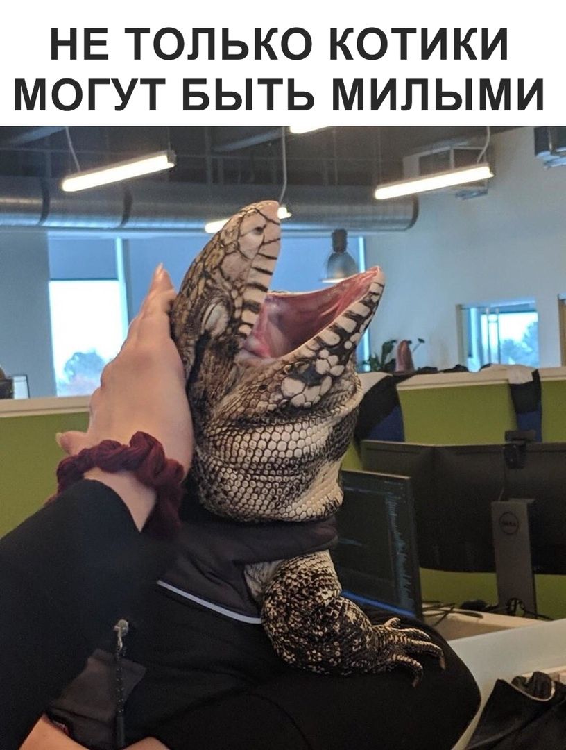 НЕ ТОЛЬКО КОТИКИ МОГУТ БЫТЬ МИЛЫМИ